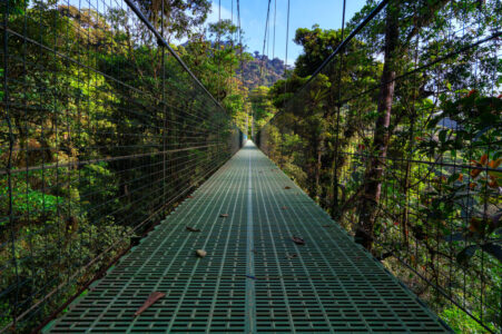 One of the many hanging bridges at Treetopia Park in Monteverde.