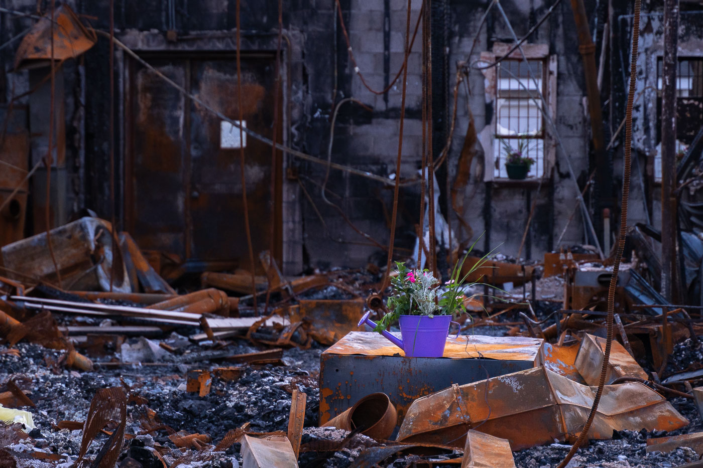 Riot damage building on Chicago Ave with flowers inside