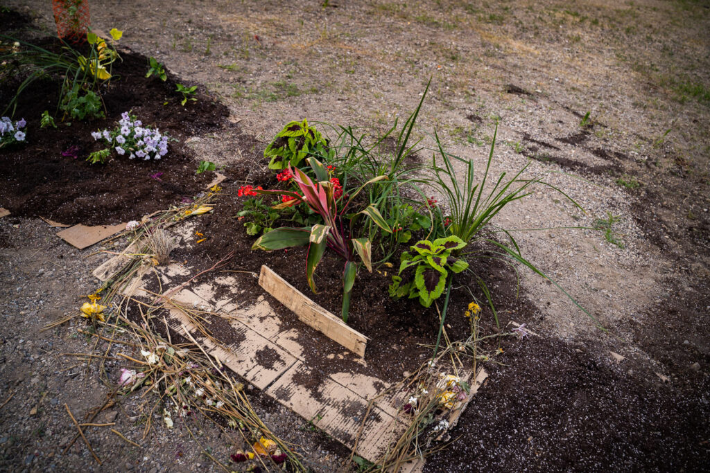A garden being planted in the empty lot outside of the parking garage where Winston Smith was killed and next to the road Deona Marie was killed.