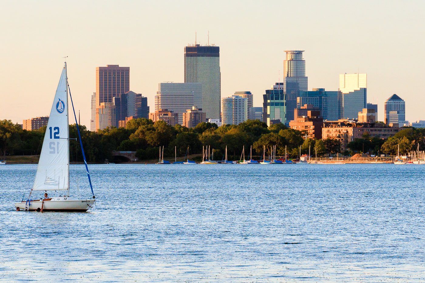 City skyline with a sail boat in the water