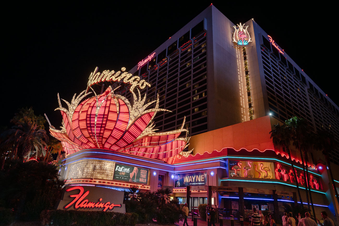 Flamingo Hotel photo at night with lights