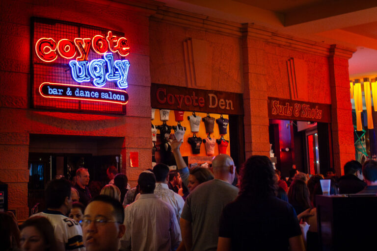 Coyote Ugly Dance Saloon in Las Vegas 3 Coyote Ugly Bar & Dance Saloon in Las Vegas.