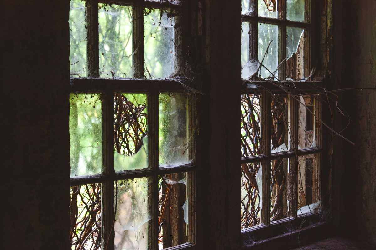 Overgrown vines fill the windowpanes of an abandoned building at Kings Park Psychiatric Center, New York.