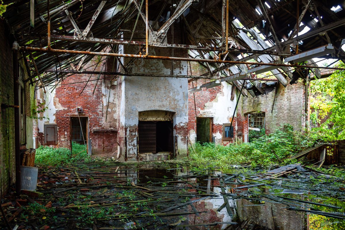 Abandoned institutional building interior with collapsed roof, brick walls, and overgrown vegetation at Kings Park Psychiatric