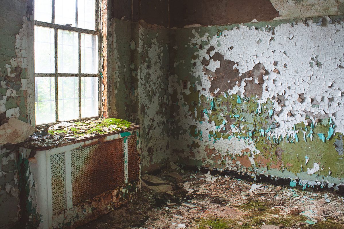 Deteriorated interior room at Kings Park Psychiatric Center with peeling paint and moss-covered window sill.