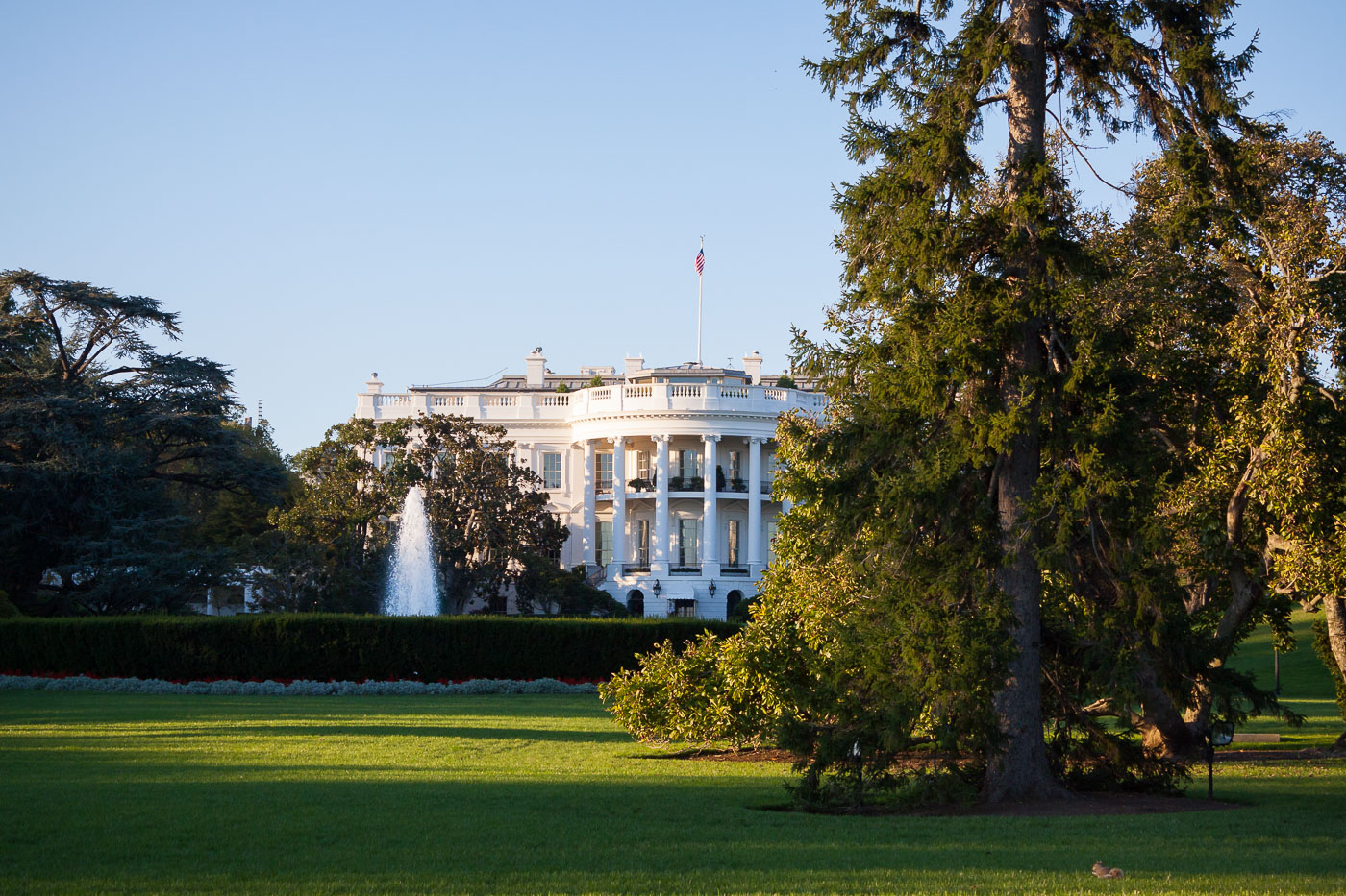 White House in Washington DC