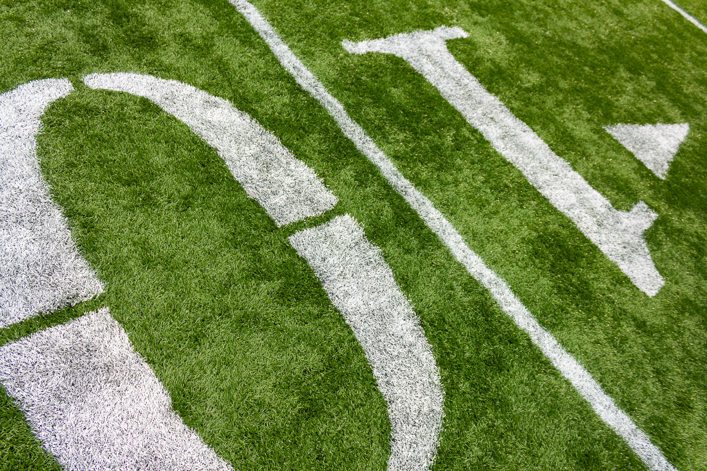 10 yard line inside the Metrodome