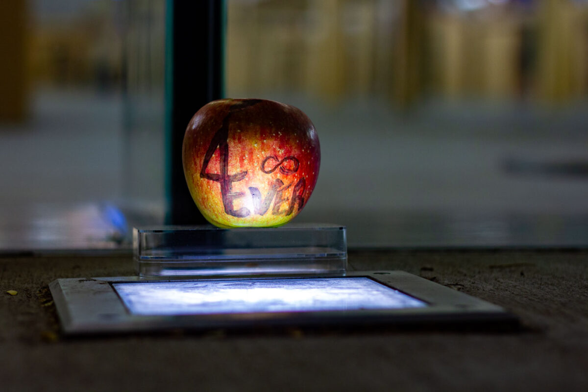 An apple placed outside the Minneapolis Uptown Apple Store on the day Steve Jobs died.