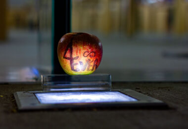 An apple placed outside the Minneapolis Uptown Apple Store on the day Steve Jobs died.