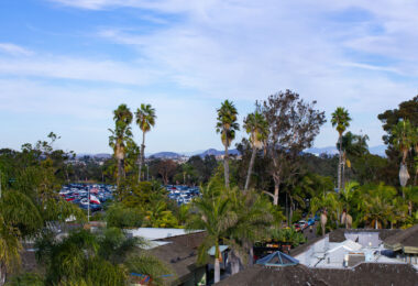 The San Diego Zoo.