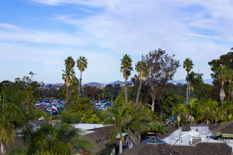 San Diego Zoo Parking Lot and Palm Trees 1 The San Diego Zoo parking lot, surrounded by palm trees, provides essential visitor access to the zoological park in California.