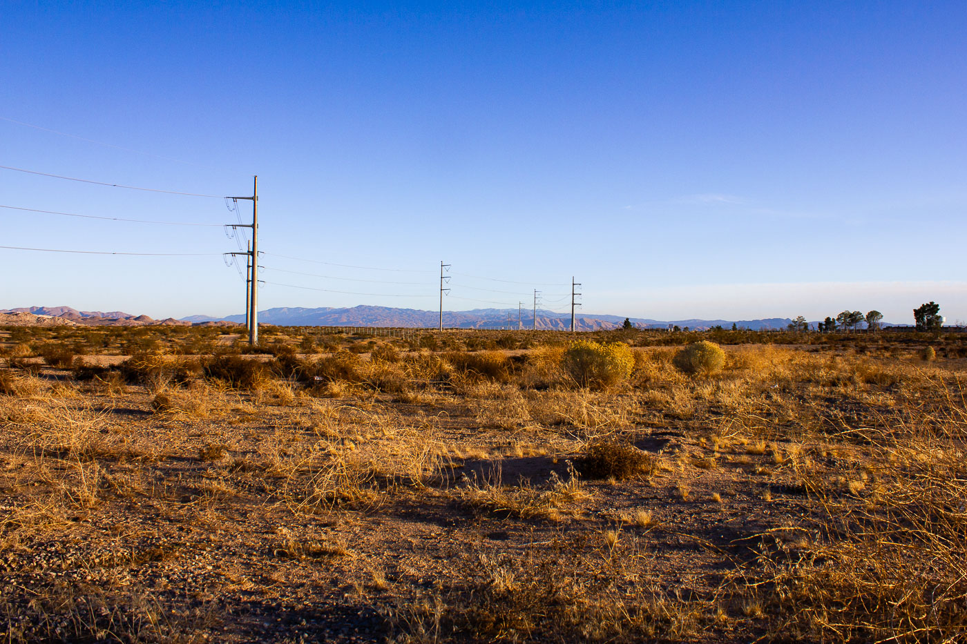 Desert in Victorville California