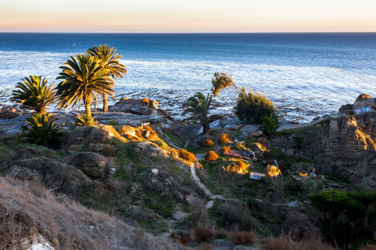 San Pedro Coastal Bluff Graffiti and Palm Trees