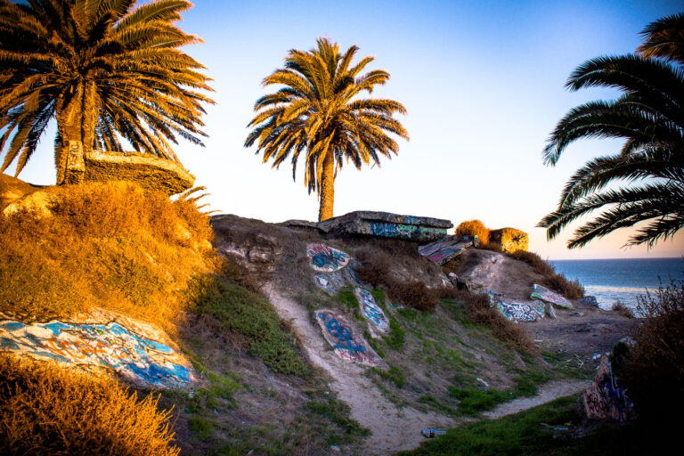 San Pedro Coastal Bluffs with Graffiti and Palm Trees 3 San Pedro Coastal Bluffs, California, feature graffiti-adorned concrete remnants and palm trees overlooking the ocean.