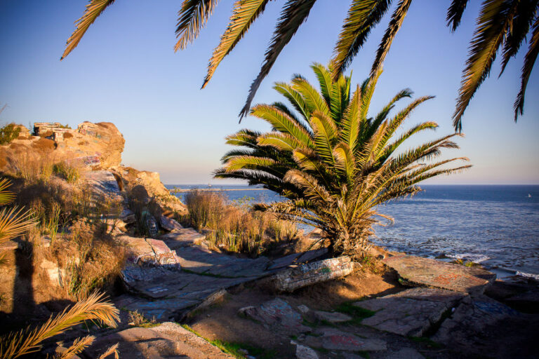San Pedro Coastal Rocks and Palm Trees 3 The Sunken City in San Pedro, California, features coastal rocks, palm trees, and remnants of concrete structures overlooking the Pacific Ocean.