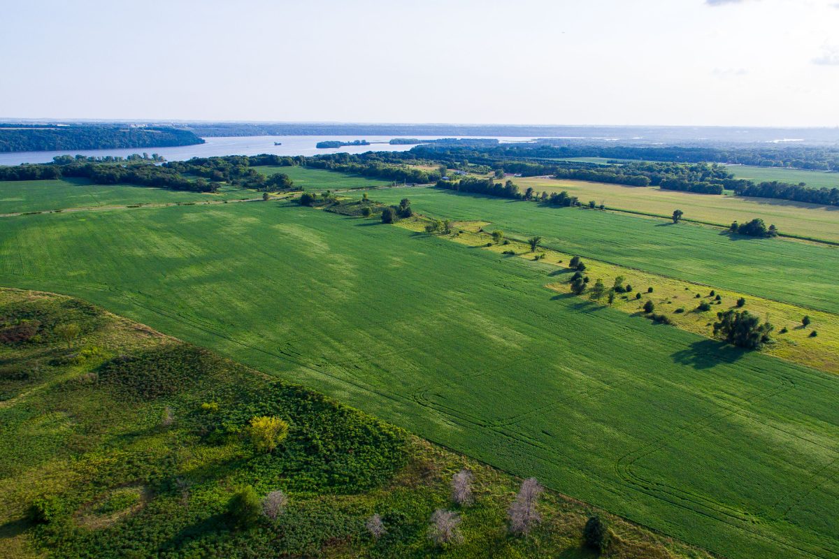 Mississippi River Farmland, Cottage Grove, Minnesota