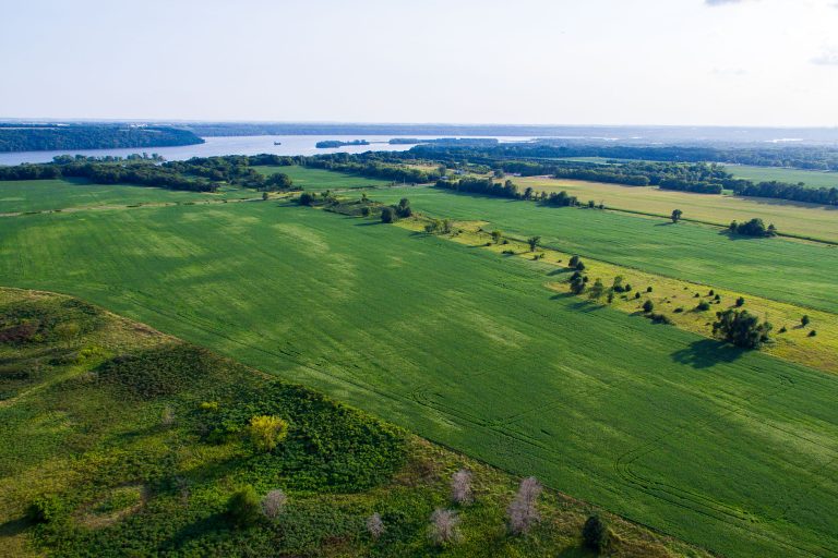 Mississippi River Farmland, Cottage Grove, Minnesota 1 Mississippi River farmland in Cottage Grove, Minnesota, with crop fields beside wetlands and the river.