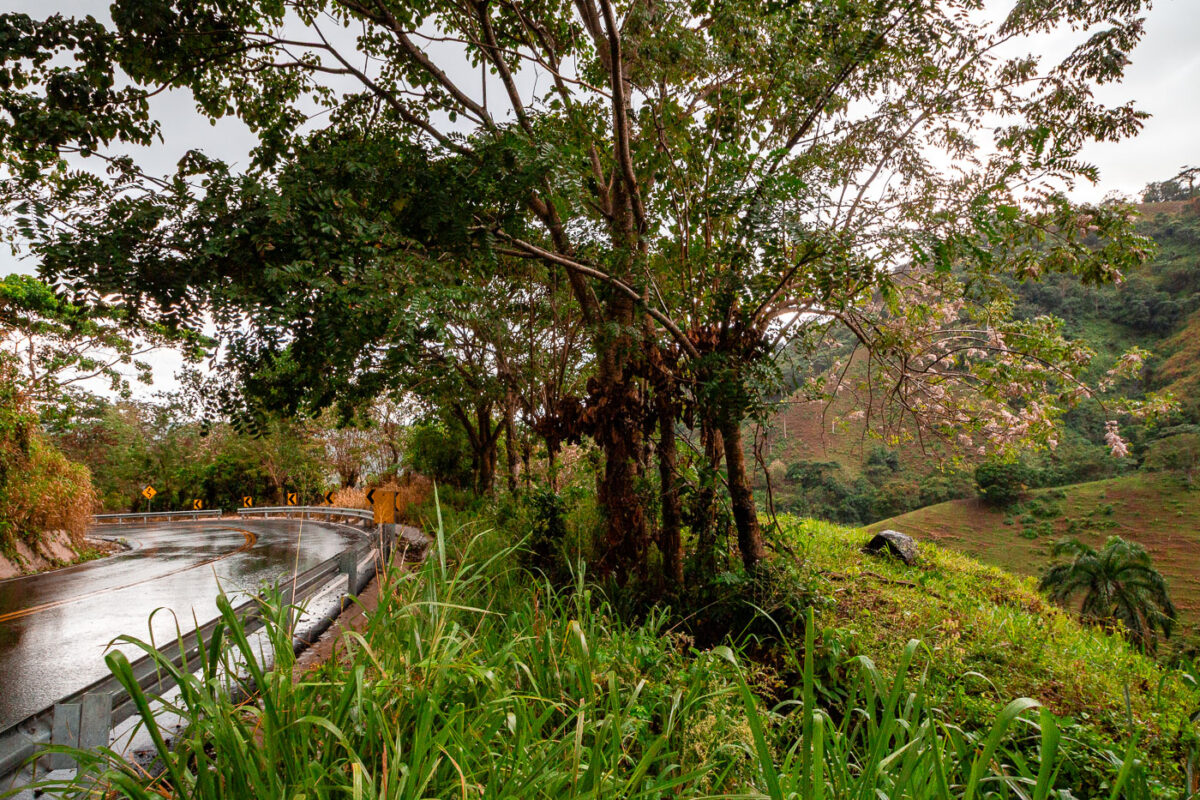 Mountain Roadway near Los Brazos, Dominican Republic