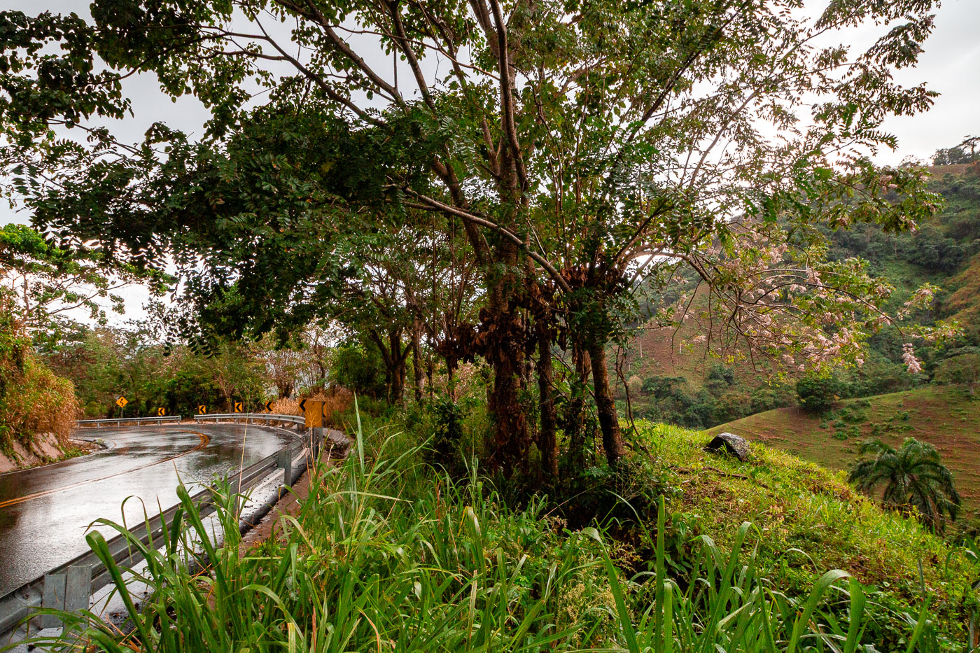 Mountain Roadway near Los Brazos, Dominican Republic