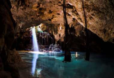 Inside a cenote near Playa Del Carmen, Mexico.