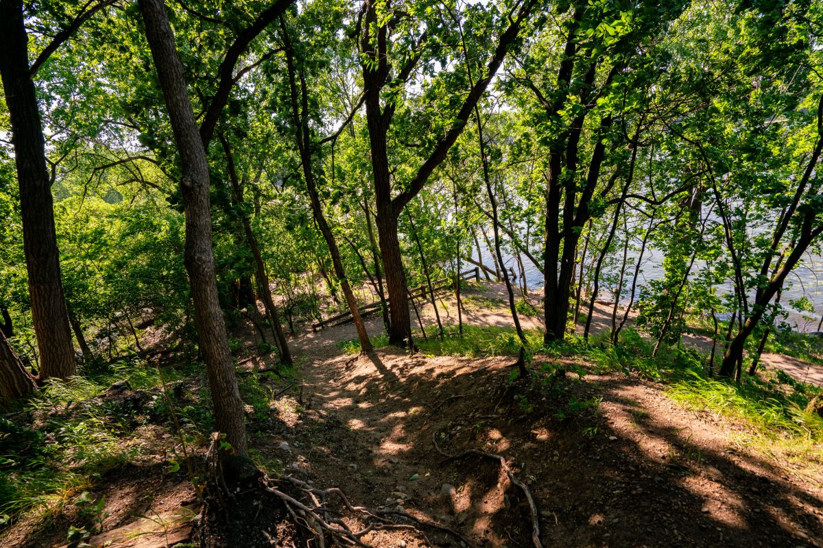 North side of Cedar Lake in Minneapolis