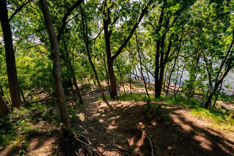 North side of Cedar Lake in Minneapolis 4 North side of Cedar Lake in Minneapolis