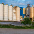 Photo of superior