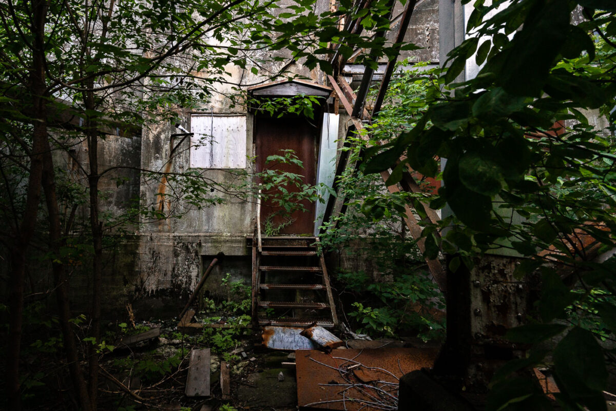 Overgrown Doorway — Saskatchewan Pool B Elevator, Thunder Bay