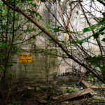 Overgrown foliage surrounds the rusting stairway of the former Saskatchewan Pool B grain elevator in Thunder Bay, Ontario. Built in 1928 as part of the cooperative grain-handling network operated by the Saskatchewan Wheat Pool, the facility once stored and shipped millions of bushels of prairie wheat through the Lake Superior port. After decades of service under the Canadian Wheat Board era, the elevator was decommissioned and left to decay, its concrete silos and steel infrastructure now reclaimed by vegetation and time along the industrial waterfront.