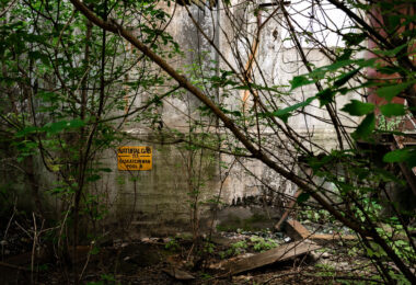 Overgrown foliage surrounds the rusting stairway of the former Saskatchewan Pool B grain elevator in Thunder Bay, Ontario. Built in 1928 as part of the cooperative grain-handling network operated by the Saskatchewan Wheat Pool, the facility once stored and shipped millions of bushels of prairie wheat through the Lake Superior port. After decades of service under the Canadian Wheat Board era, the elevator was decommissioned and left to decay, its concrete silos and steel infrastructure now reclaimed by vegetation and time along the industrial waterfront.
