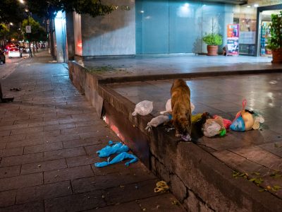 Stray Dog Rummaging Through Trash Bags, Mexico City