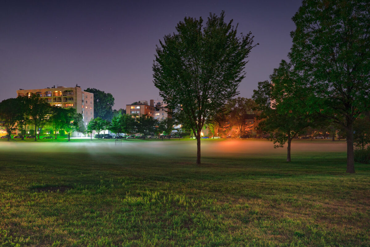 Foggy evening in park near W Bde Maka Ska Blvd in Minneapolis.