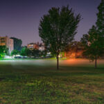 Foggy evening in park near W Bde Maka Ska Blvd in Minneapolis.