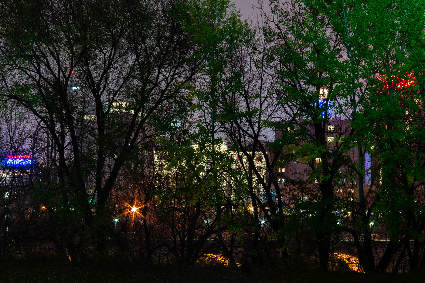 Stone Arch Bridge behind the Gold Medal Park trees