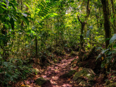 Arenal 1968 Lava Flow Trail, Costa Rica