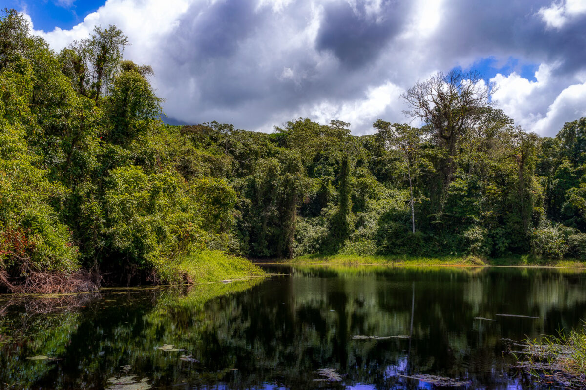 Lava flow trails and water in Costa Rica