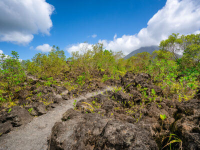 Arenal Volcano Lava Fields, Costa Rica