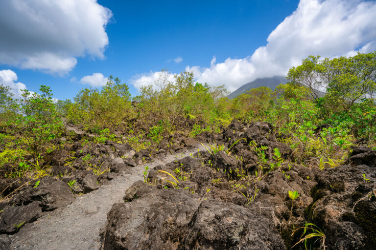 Arenal Volcano Lava Fields, Costa Rica 4 Arenal Volcano lava fields in Costa Rica with a path winding through rocky terrain and vegetation.