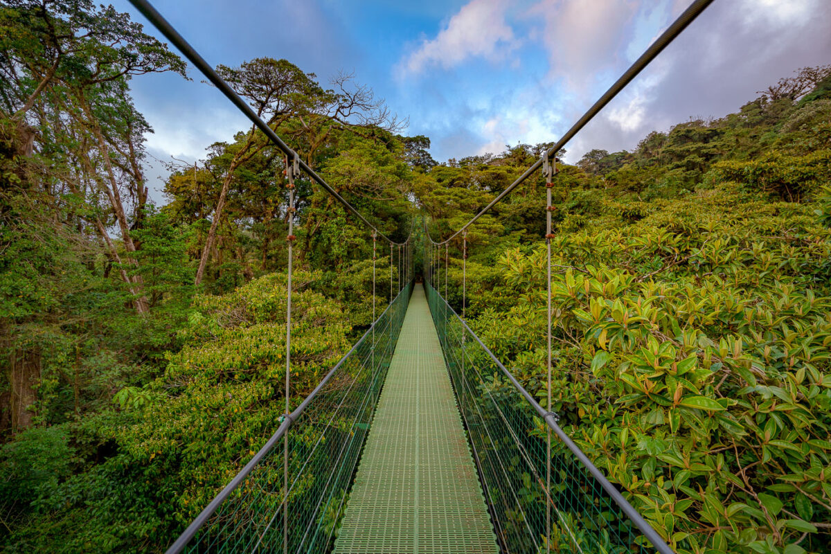 Beautiful Costa Rican Hanging Bridges