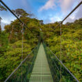 Beautiful Costa Rican Hanging Bridges