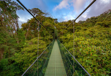 Beautiful Costa Rican Hanging Bridges