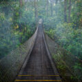 Hanging bridge in the clouds near the Arenal Observatory in Costa Rica.