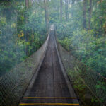 Hanging bridge in the clouds near the Arenal Observatory in Costa Rica.