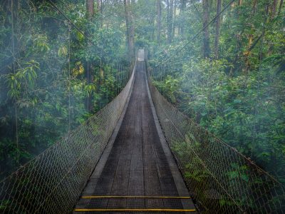 Hanging Bridge, Arenal Observatory Costa Rica