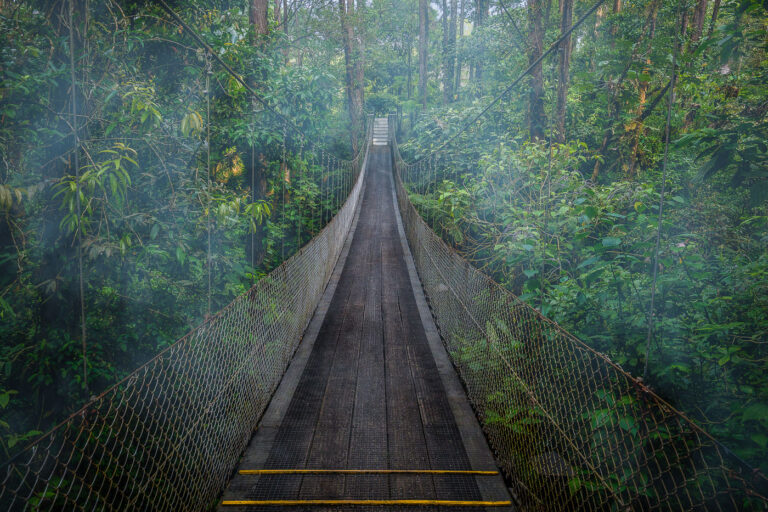 Hanging Bridge, Arenal Observatory Costa Rica 2 A hanging bridge crosses a misty cloud forest near the Arenal Observatory in Costa Rica.