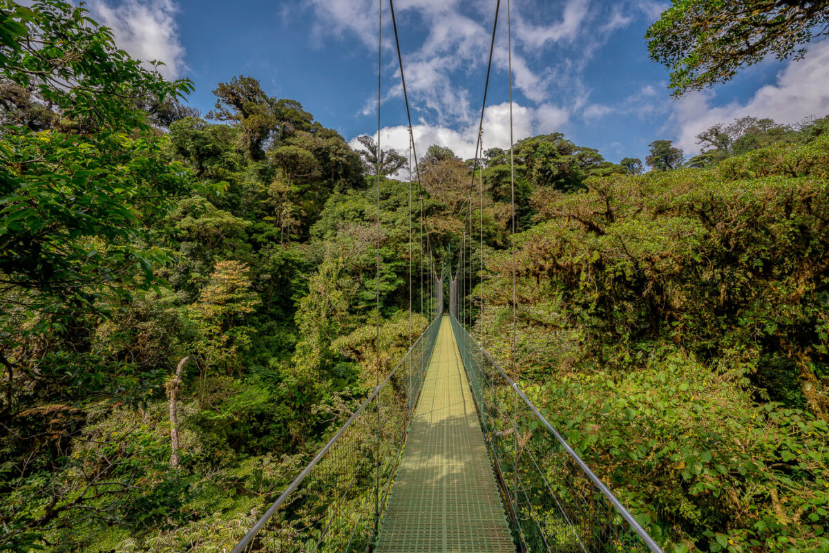 Hanging bridges in Monteverde Costa Rica