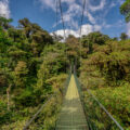 Hanging bridges in Monteverde Costa Rica