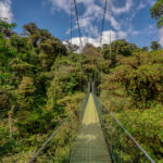 Hanging bridges in Monteverde Costa Rica