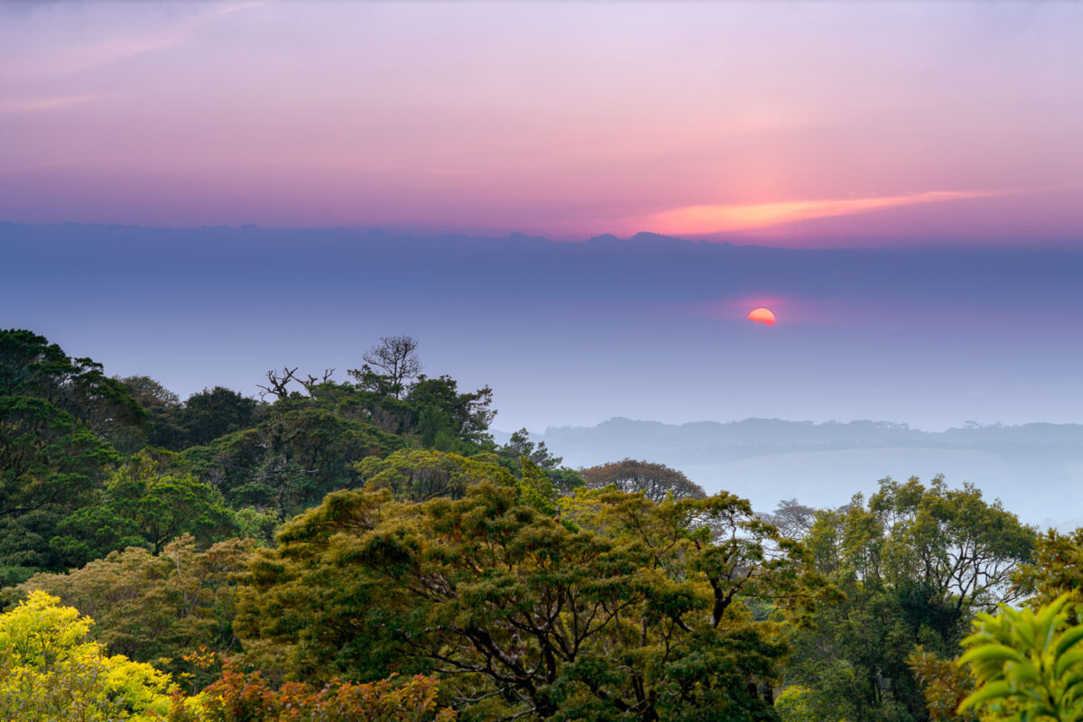 A beautiful sunset from the Hidden Canopy Treehouses.