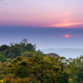 A beautiful sunset from the Hidden Canopy Treehouses.